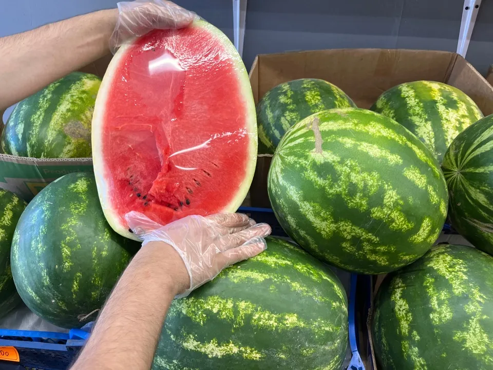 Фото: МедиаБанк Подмосковья/Ангелина Стельмух