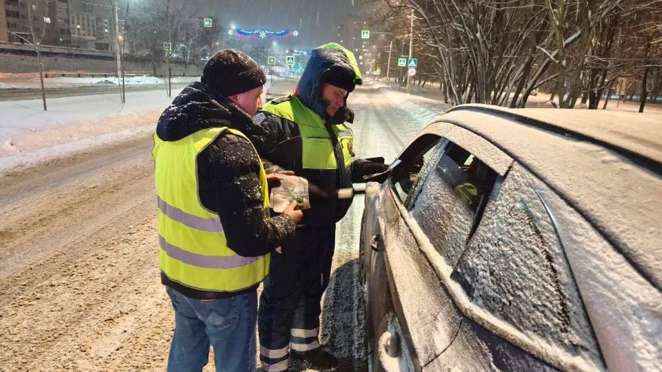 Фото: госавтоинспекция Московской области