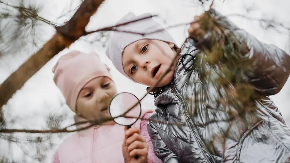 Фото: freepik.com