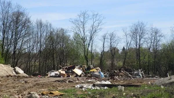 Более 10 незаконных свалок выявили в Истринском районе