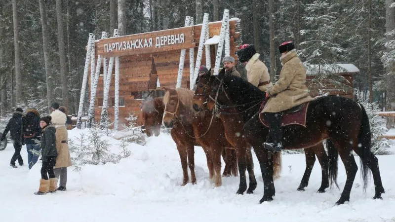 Александр Щемляев / Подмосковье сегодня