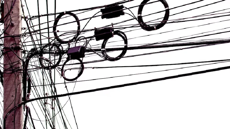 Фото: freepik.com