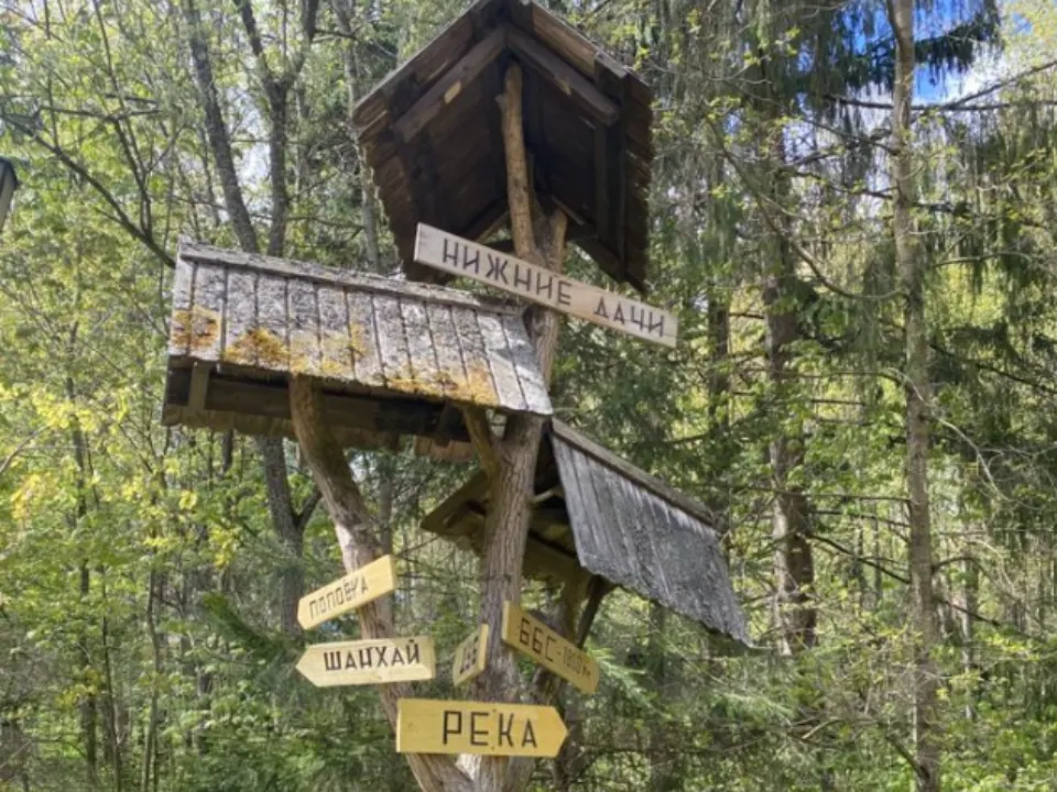 Фото: городская доска объявлений