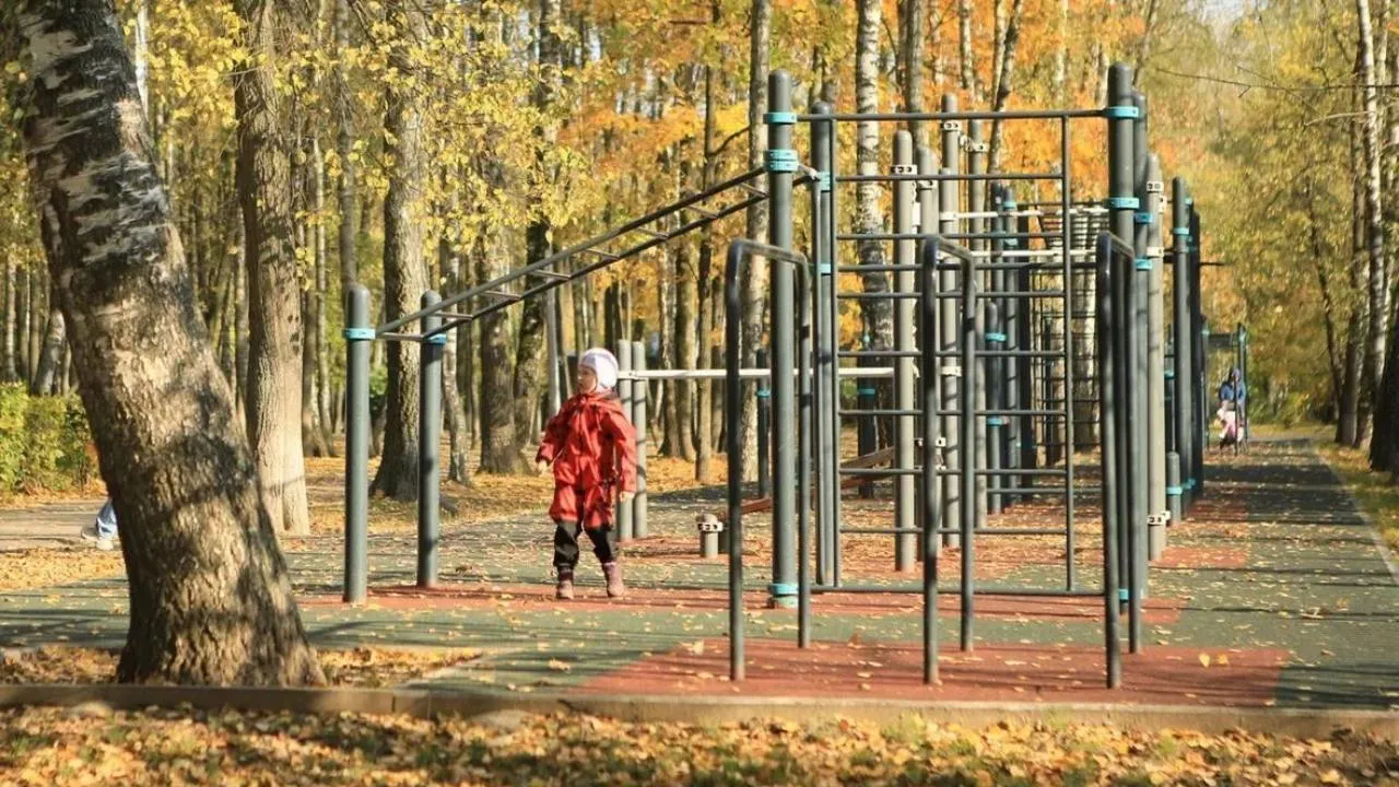 Сервисы VK помогут в благоустройстве парков Подмосковья