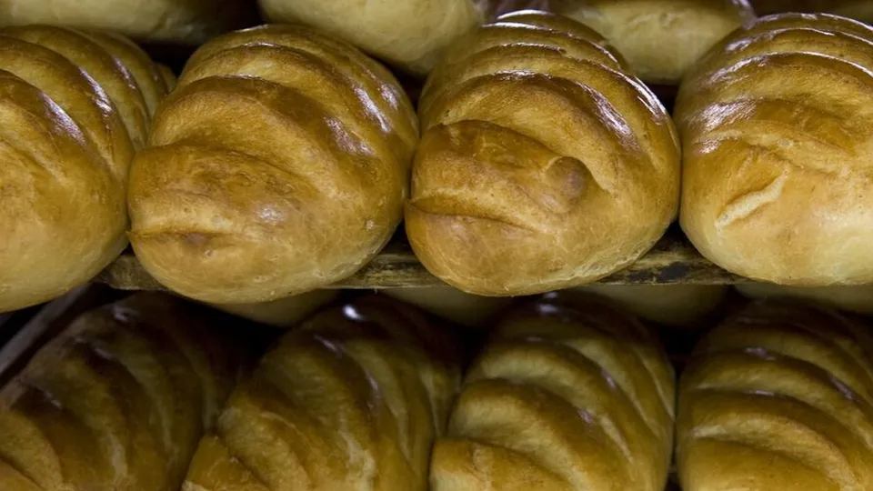 Фото: РИА Новости/Сергей Гунеев