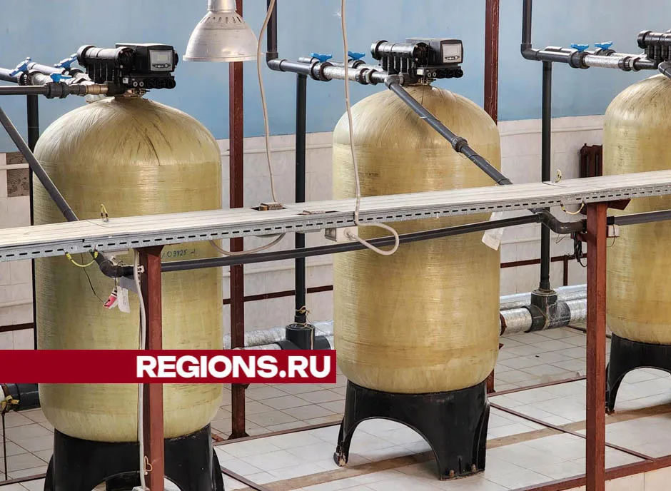 Фото: Валерия Тингаева