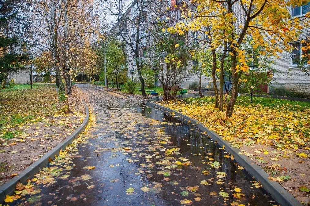 Источник: пресс-служба администрации Одинцовского округа