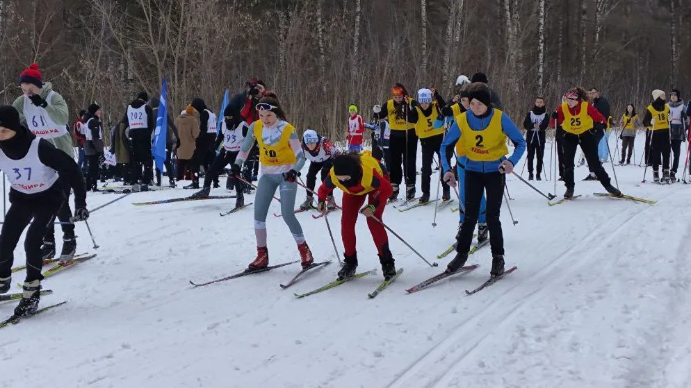 Фото: пресс-служба администрации г.о. Кашира