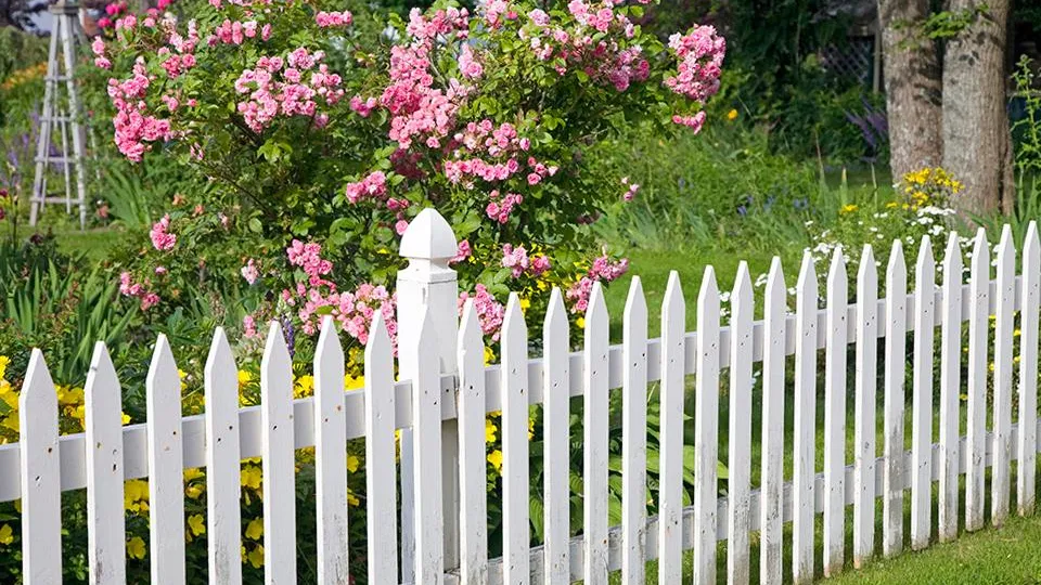 Фото: istockphoto.com