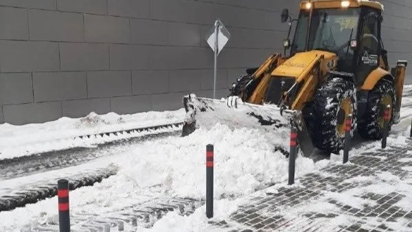 Фото: пресс-служба администрации Можайского городского округа