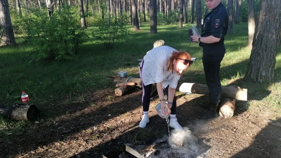 Фото: Комитет лесного хозяйства Московской области