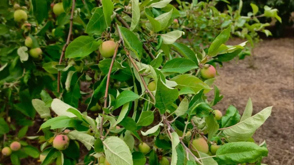 Фото: REGIONS/Юлия Габбасова