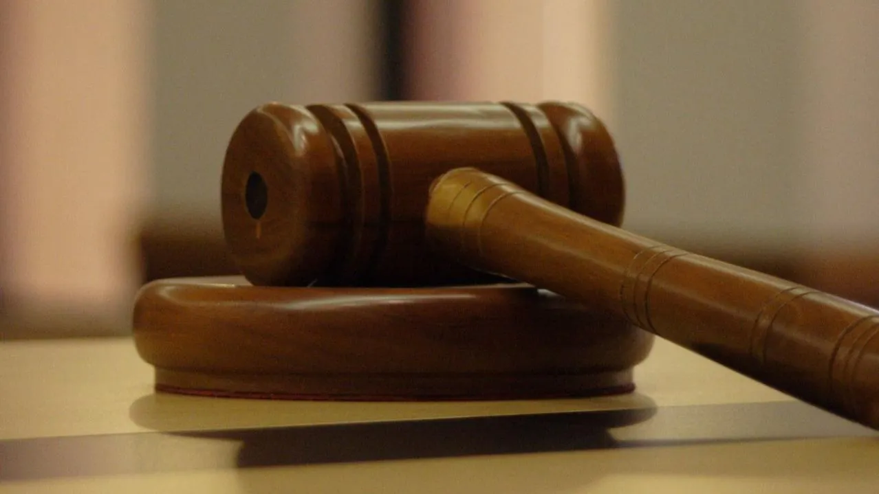 Суд в Москве отправил под домашний арест супругу Леонида Гозмана