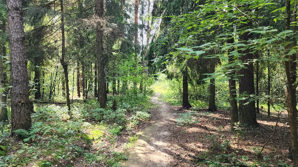 Фото: МедиаБанк Подмосковья/Ксения Пашуто