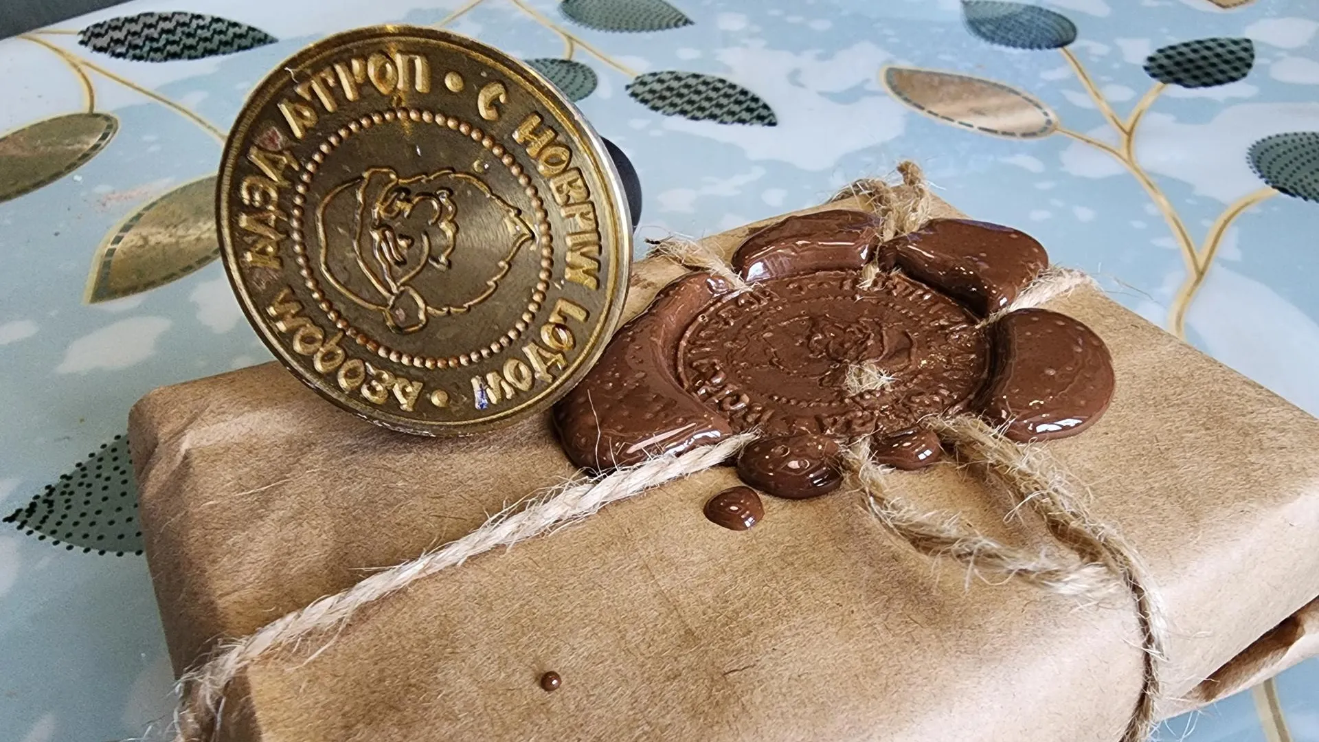 Светлана Плотникова