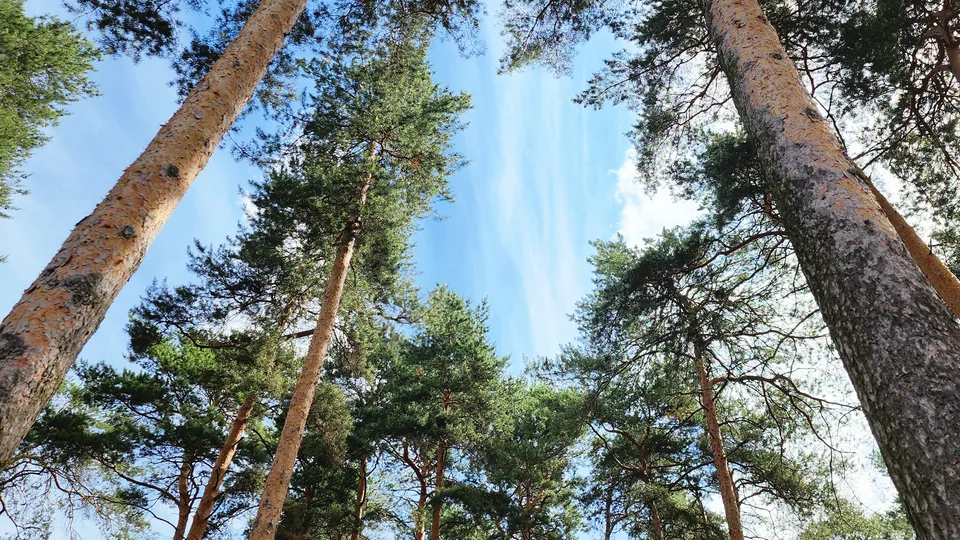 Фото: REGIONS/Наталия Надточая