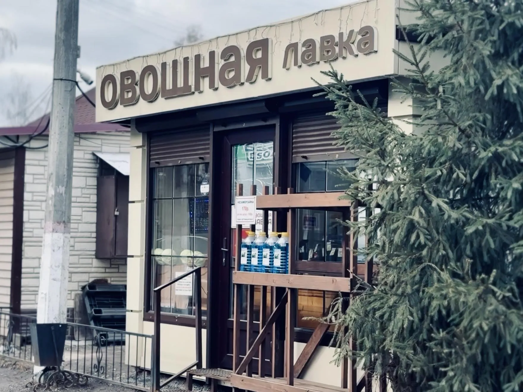 Фото: Ольга Стаферова