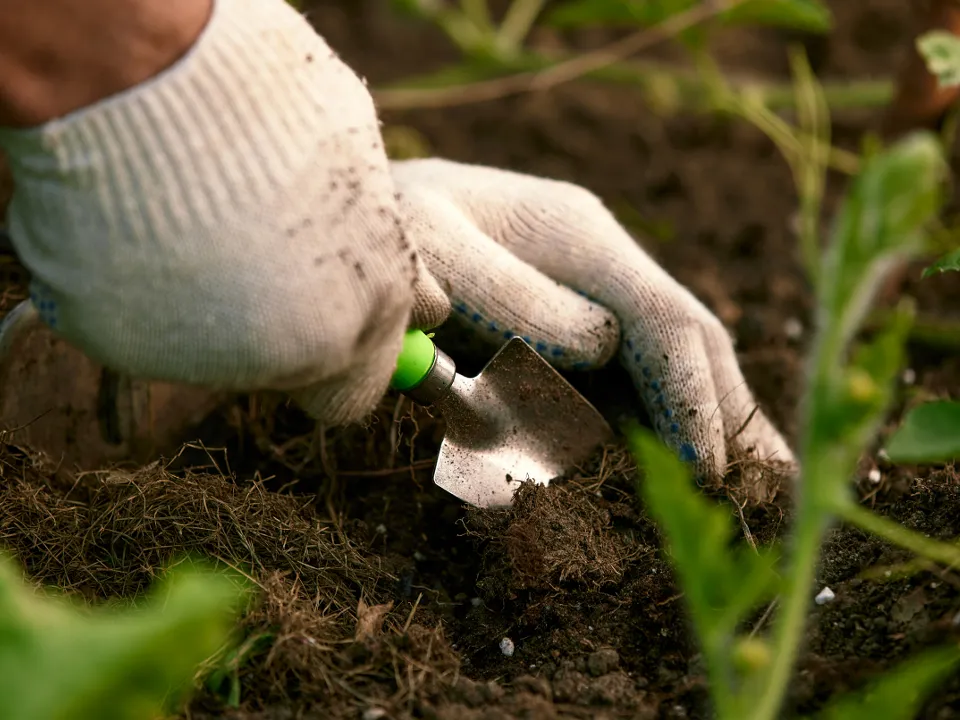 Фото: istockphoto.com