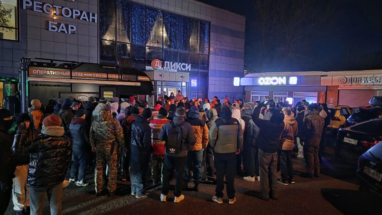 «ЛизаАлерт»