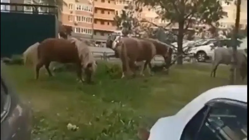 Подслушано | Видное (18+) / ВКонтакте