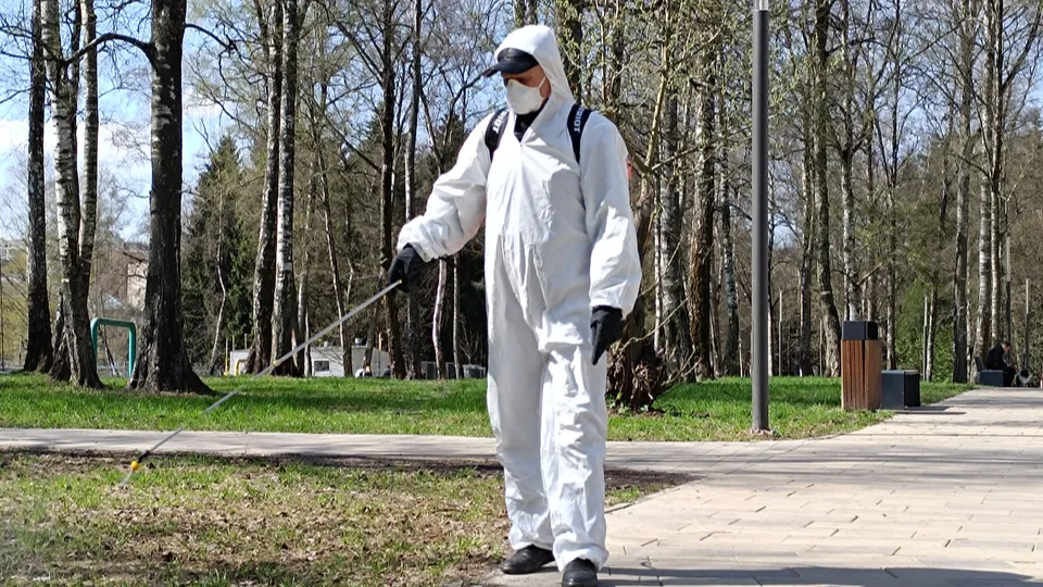 Фото: МедиаБанк Подмосковья/Екатерина Дятловская