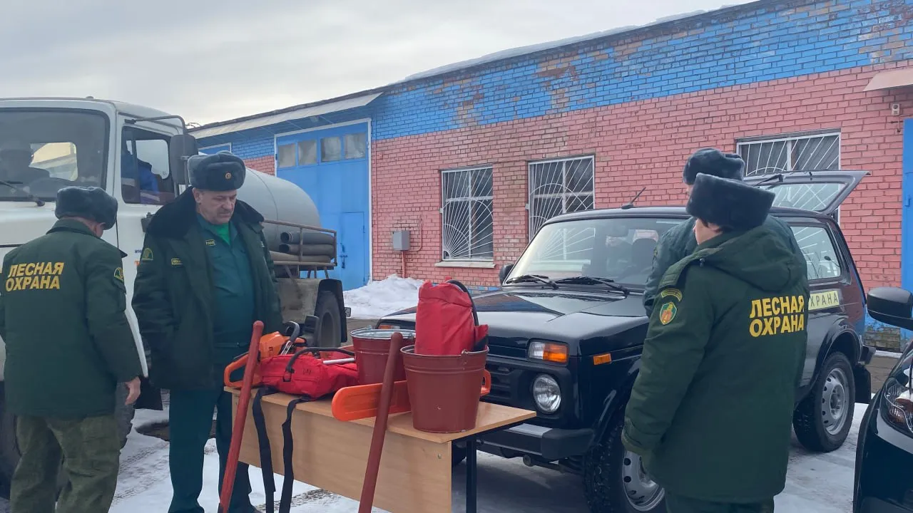 Фото: Комитет лесного хозяйства МО