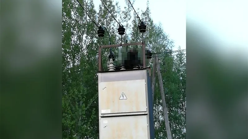 Павловский Посад/vk.com
