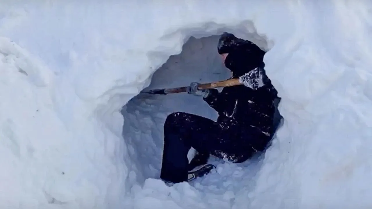 Большеалексеевская школа