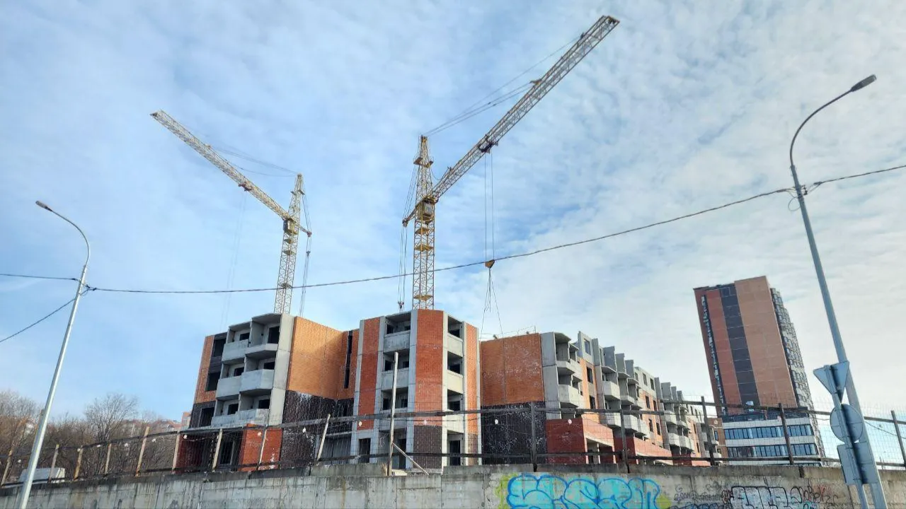 МедиаБанк Подмосковья/Анастасия Сараева