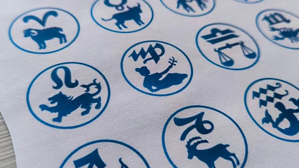 REGIONS/Дарина Левкина