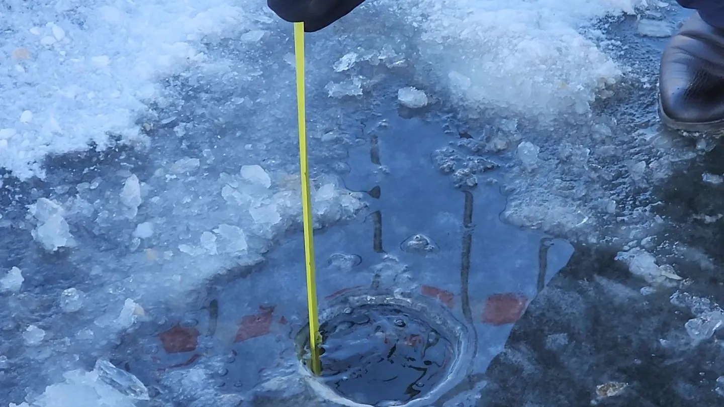 Фото: МедиаБанк Подмосковья/Никита Сморкалов