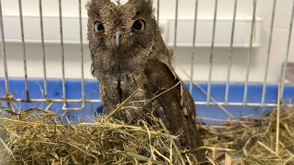 Фото: пресс-служба Министерства сельского хозяйства и продовольствия Московской области