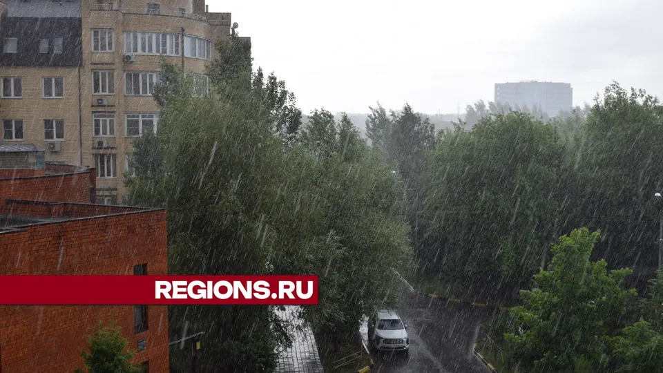 Фото: REGIONS/Александра Никитина
