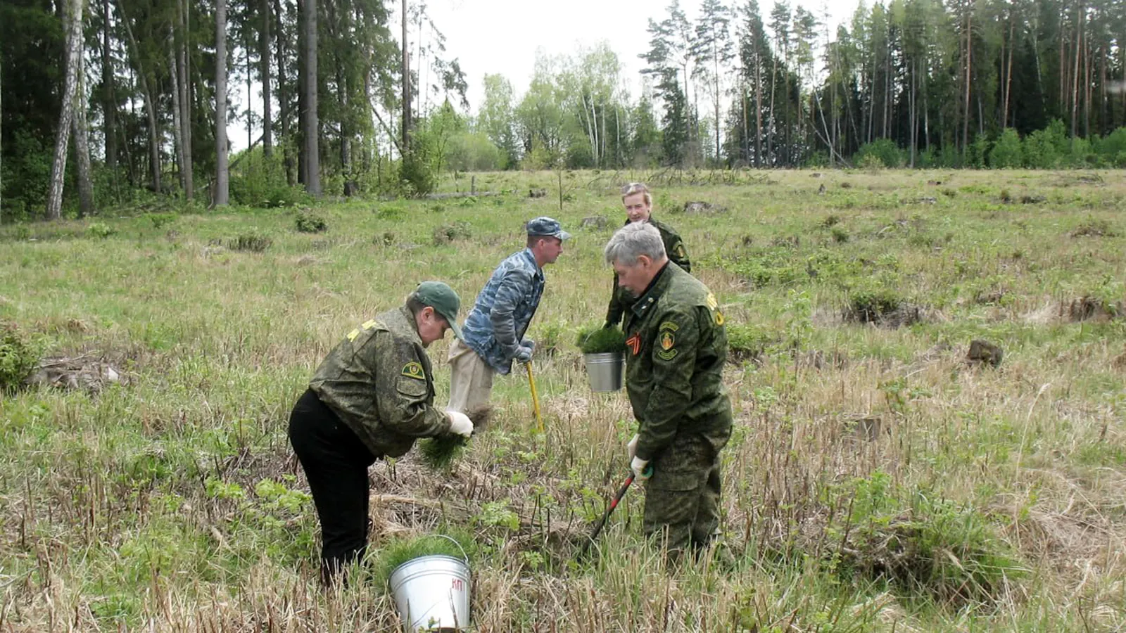 Фото: филиал «Русский лес» ГКУ МО «Мособллес»