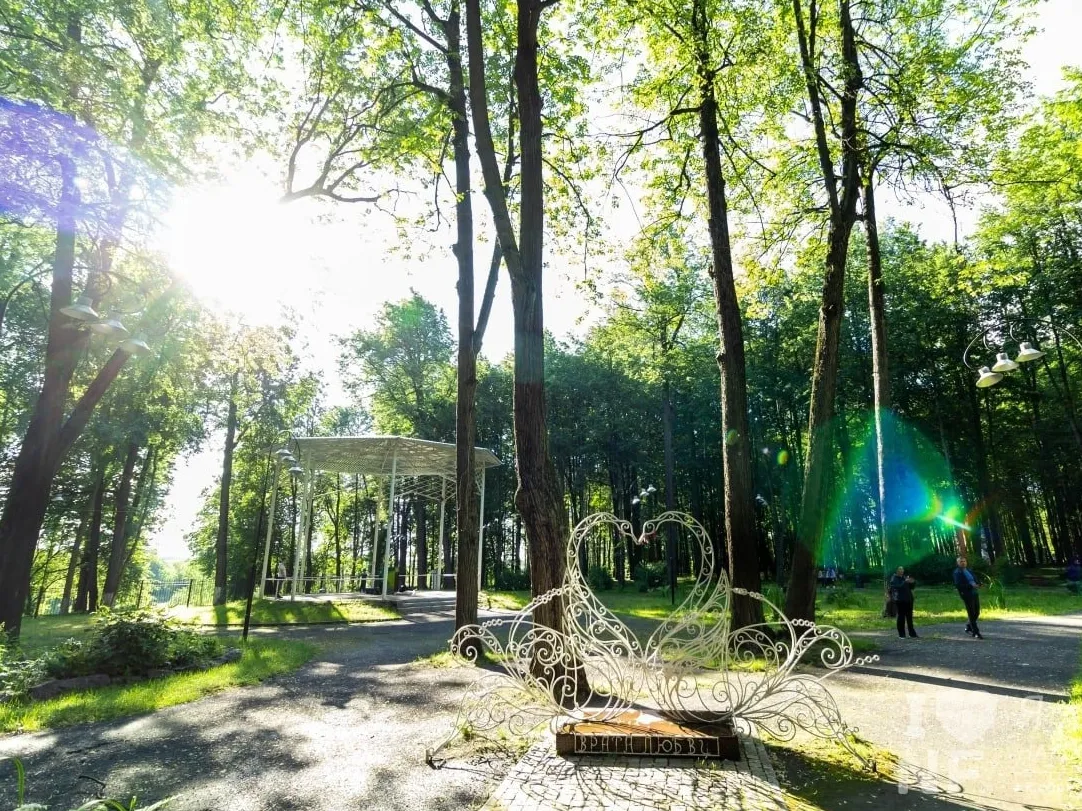 Фото: пресс-служба администрации Наро-Фоминского г.о.&nbsp; &nbsp;