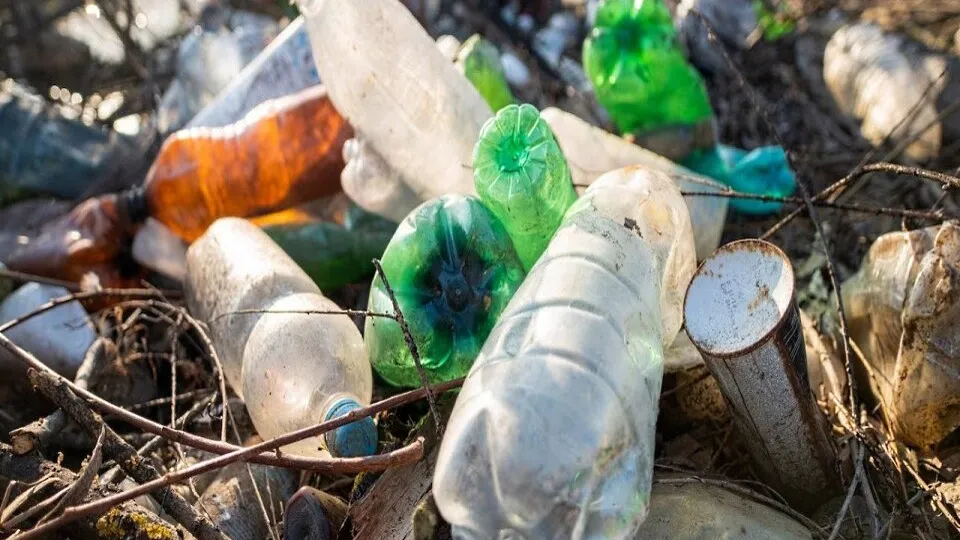 Фото: freepik.com