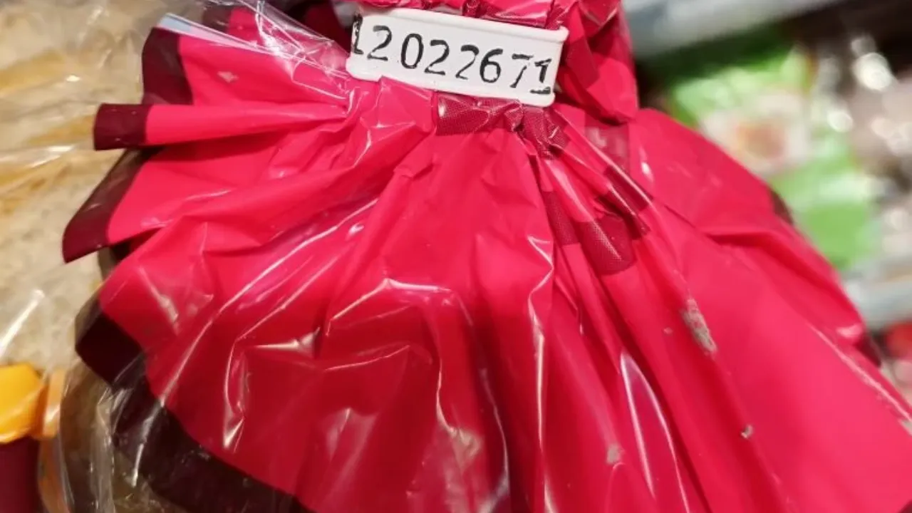 Личный архив Ольги Некрасовой