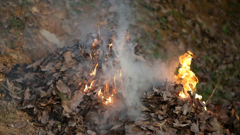 Фото: istockphoto.com