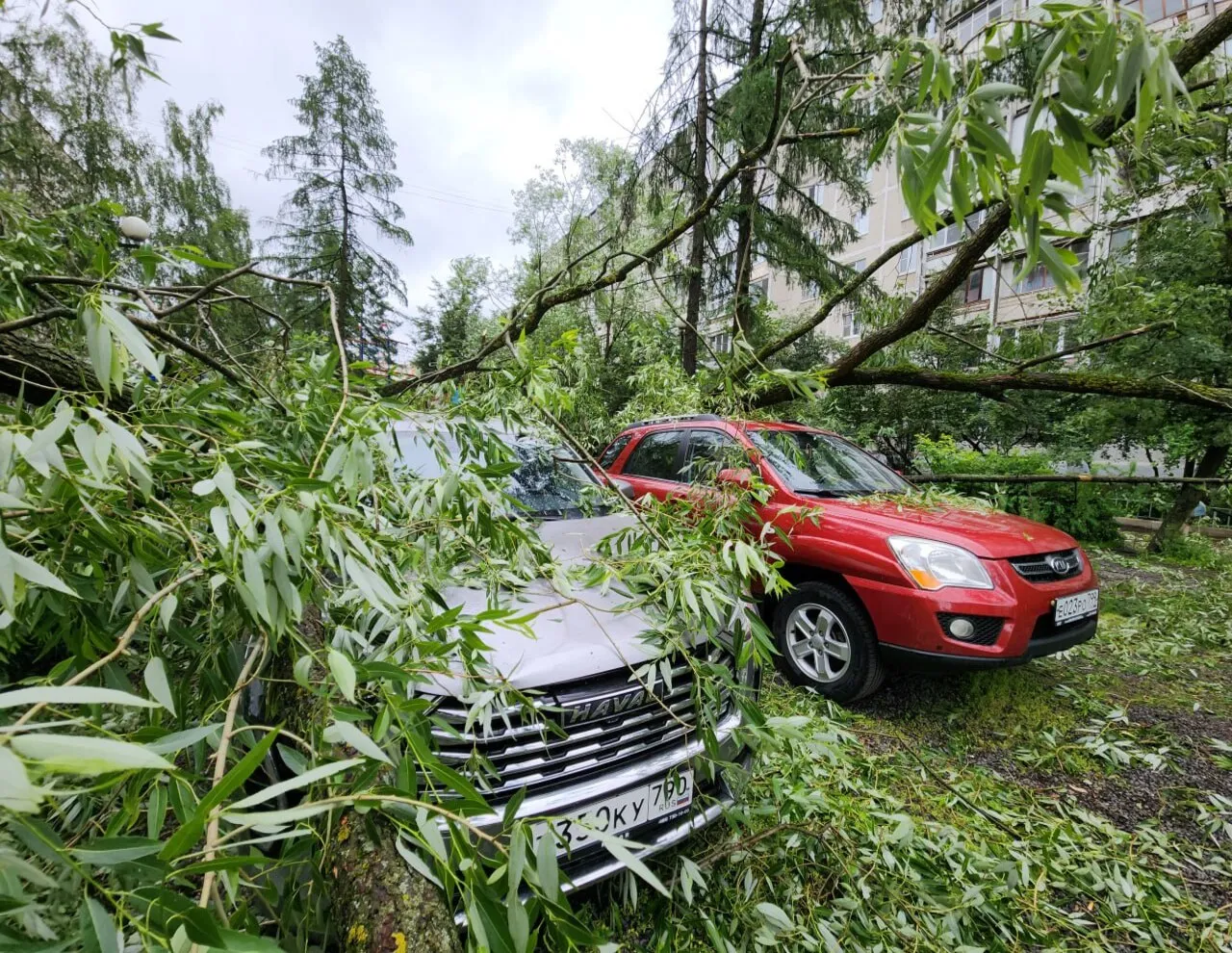 Фото: Артем Мишуков