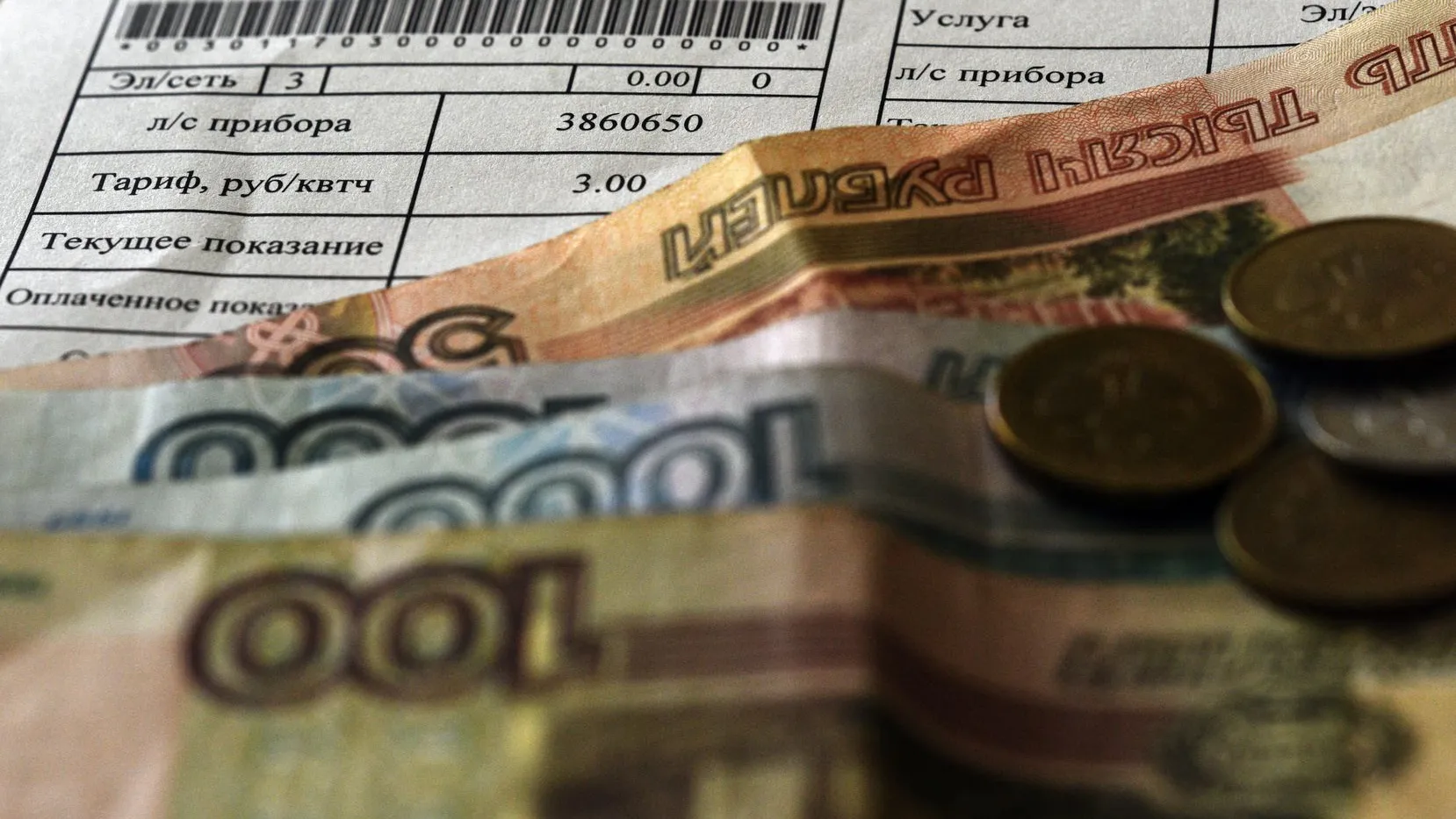 Фото: медиасток.рф