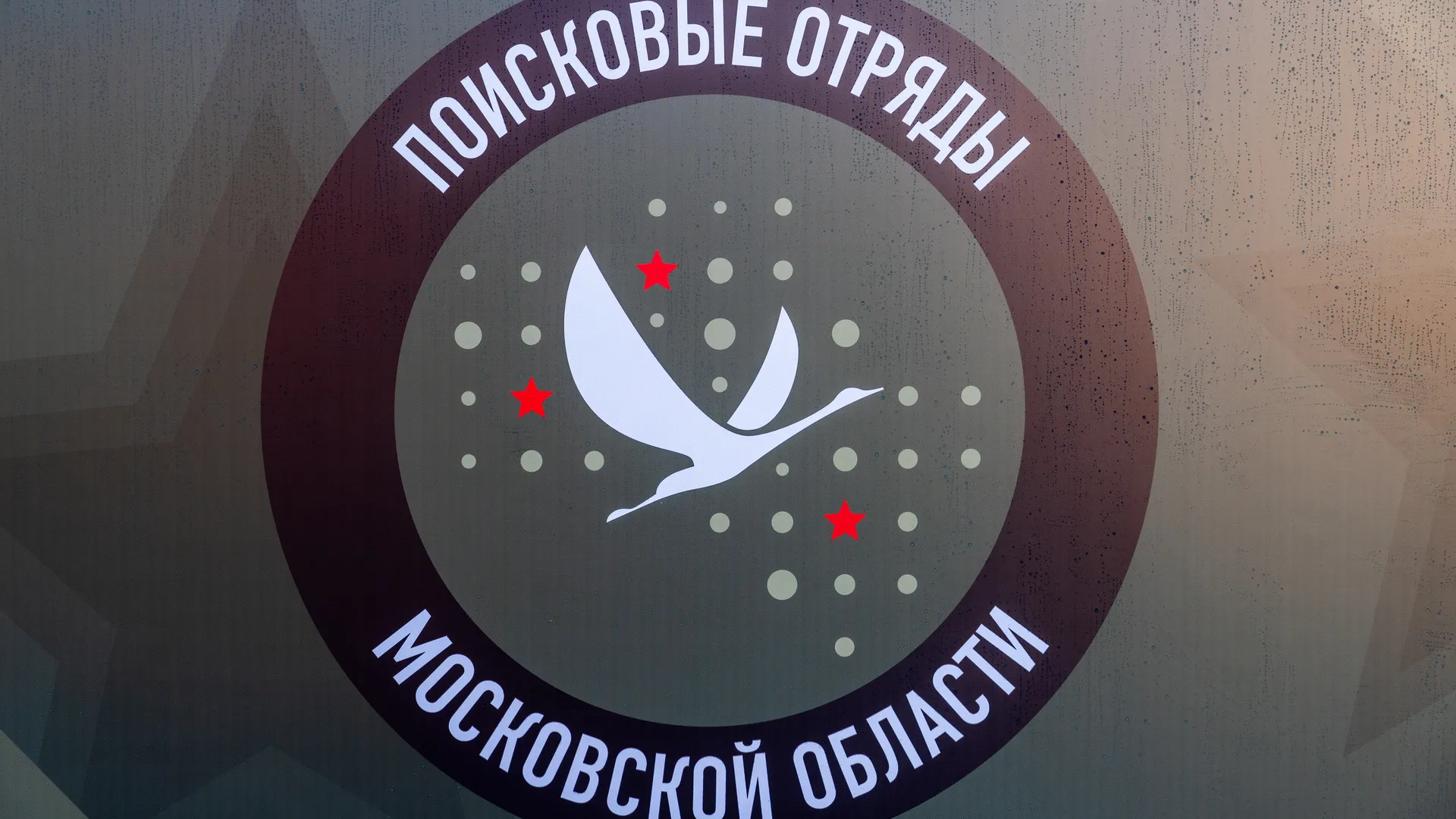 Шеврон поисковых отрядов Московской области