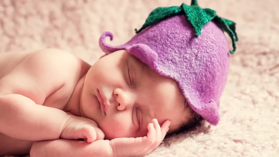 Фото: pxhere.com