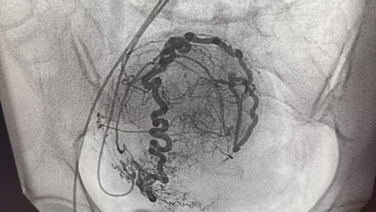 REGIONS/Мария Панина