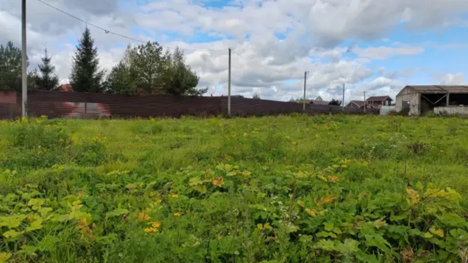 Фото: Единый портал торгов МО ЕАСУЗ