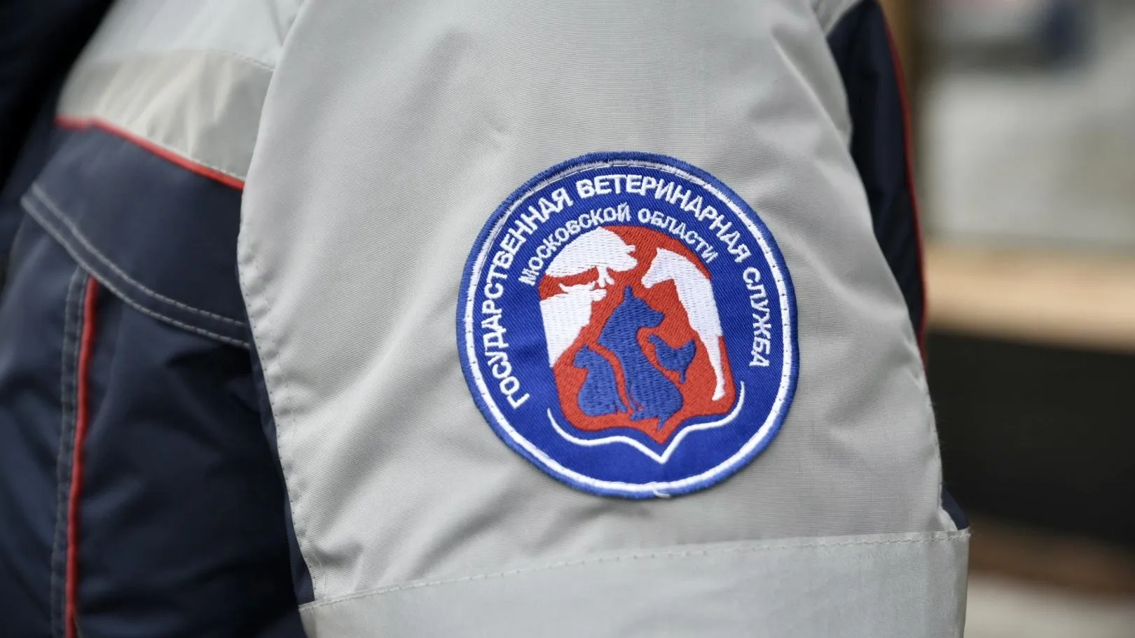 Пресс-служба администрации городского округа Солнечногорск