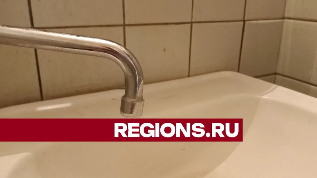 Фото: Олег Книжник