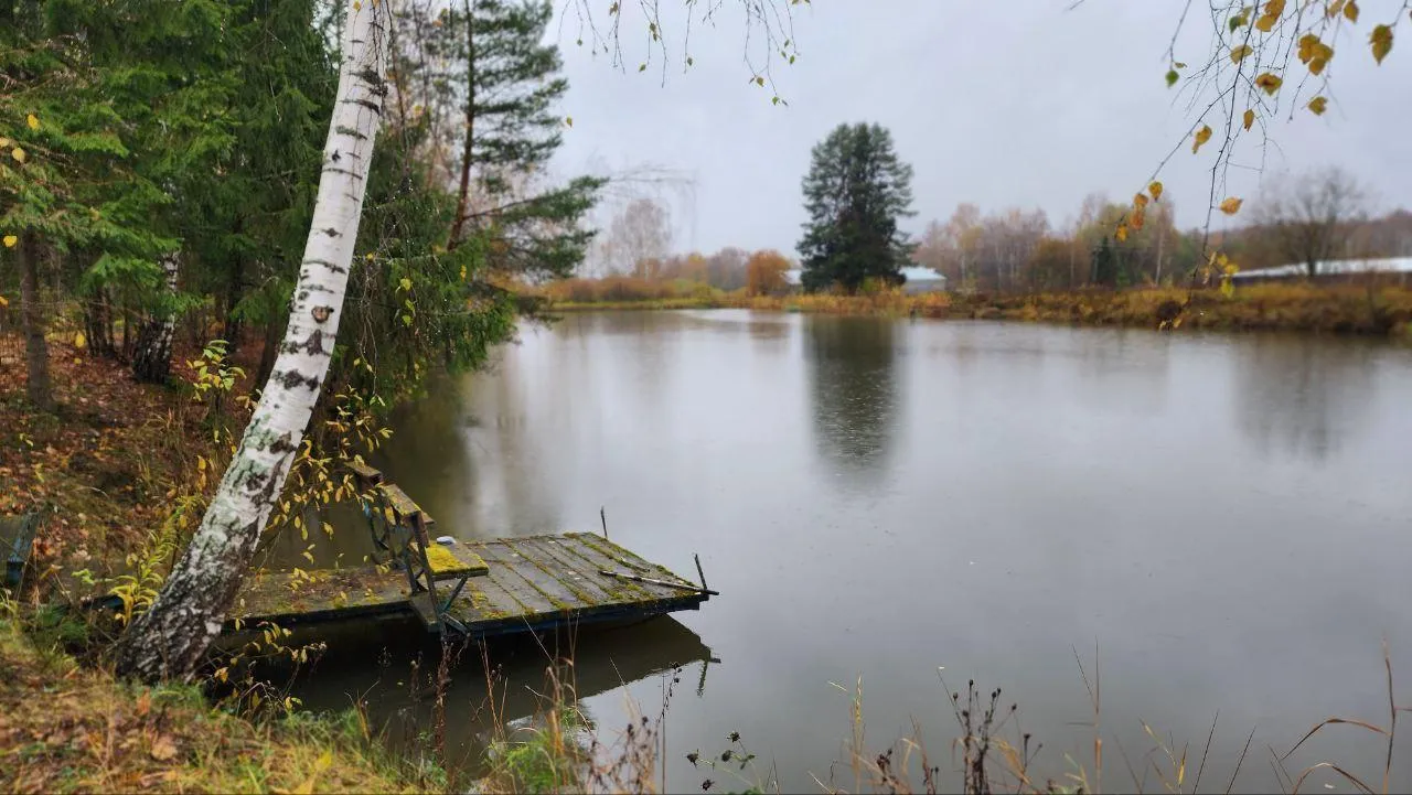 Евгений Рой