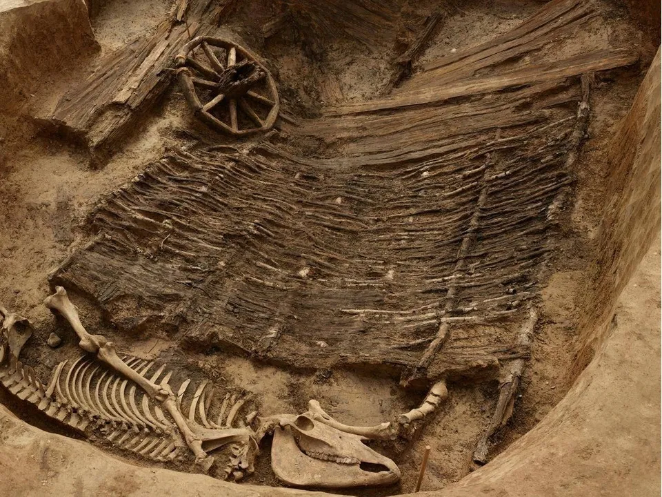 Фото: t.me/sapakhomovGD