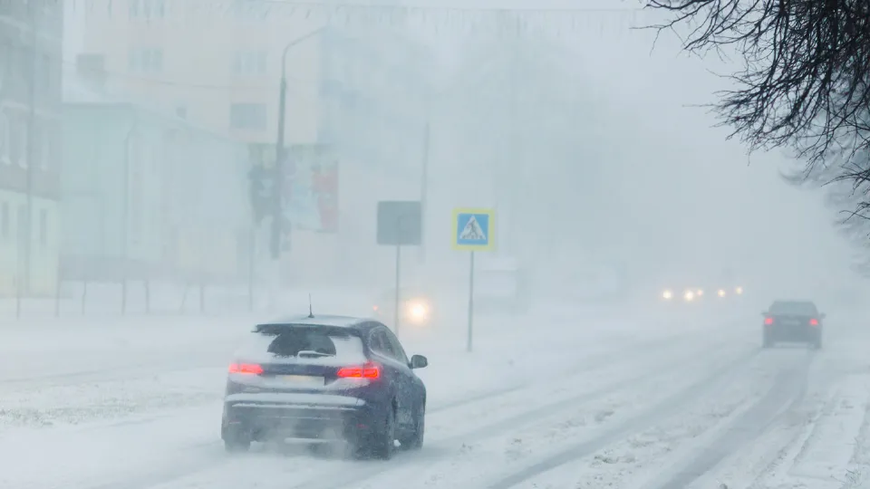 Фото: istockphoto.com/iiievgeniy