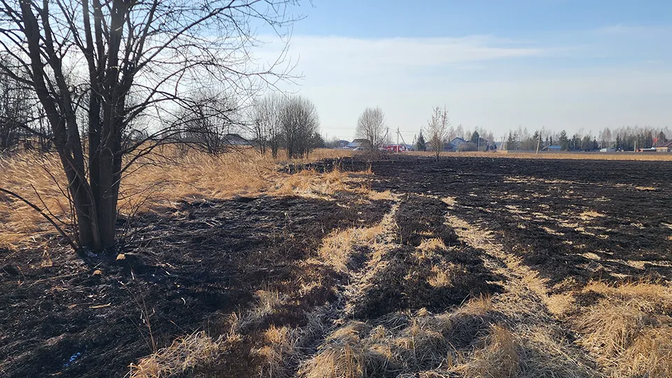 Фото: Ольга Антонова